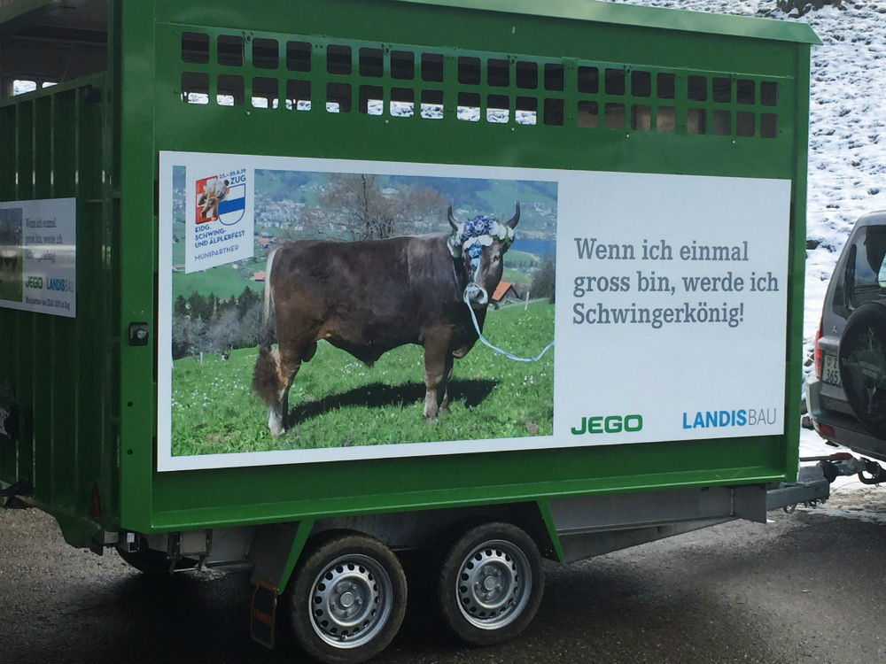 Muni-Wagen Geburtstag